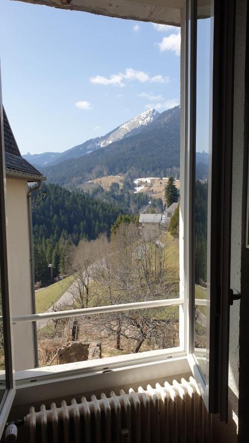 Joli Studio Chamechaude Saint-Pierre-de-Chartreuse Zewnętrze zdjęcie